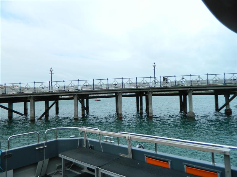 DSCN0546 (Medium)