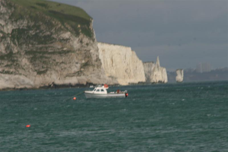 IMG_0538 (Medium)