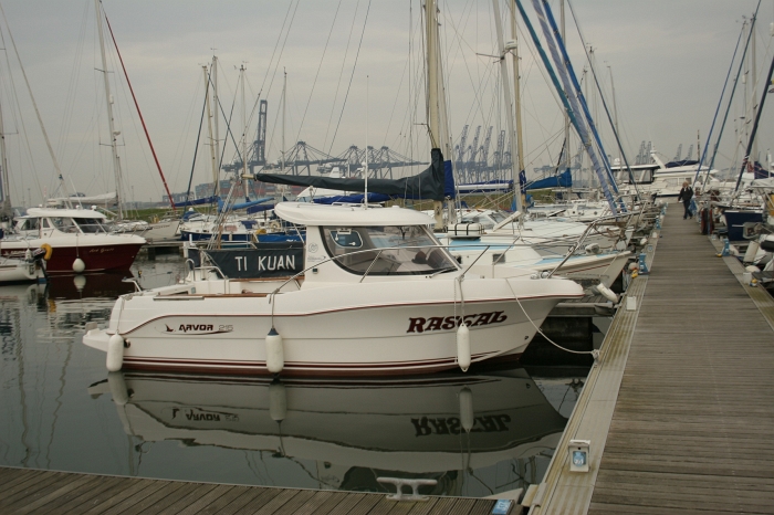 Original image