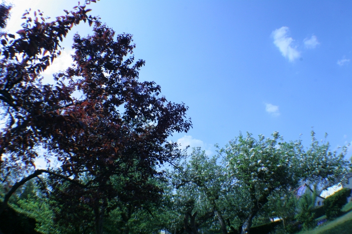 Original image