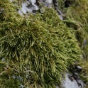 S_IMG_0105