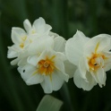 S_IMG_0304