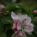 S_IMG_0320