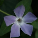 S_IMG_0325