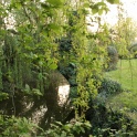 S_IMG_0340