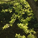 S_IMG_0408
