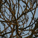 S_IMG_0448
