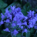 S_IMG_0486
