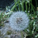 S_IMG_0619