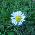 S_IMG_0623