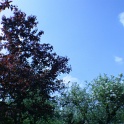 S_IMG_0643