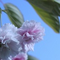 sp_IMG_0677