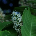 sp_IMG_0724