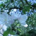 sx_IMG_0660
