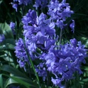 sx_IMG_0665