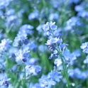 sx_IMG_0684